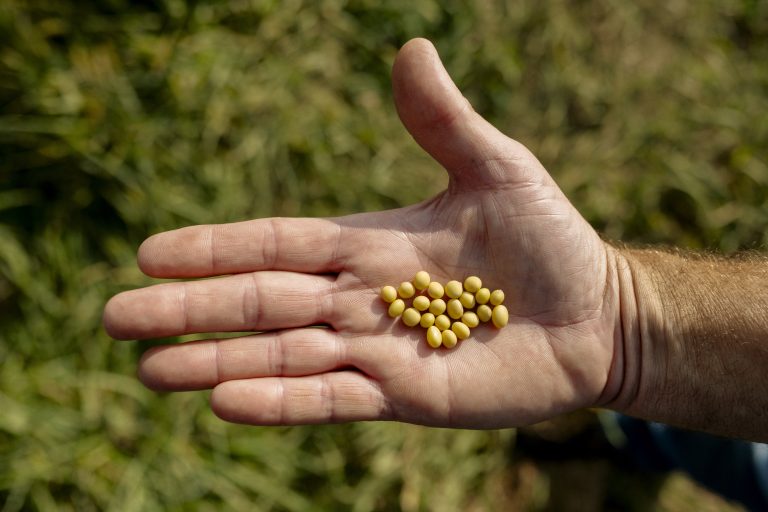 Unlocking Seed Potential for Greater Yield with Fewer Resources