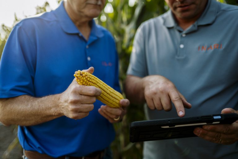 BBC News: How Crops Are Being Disaster-Proofed
