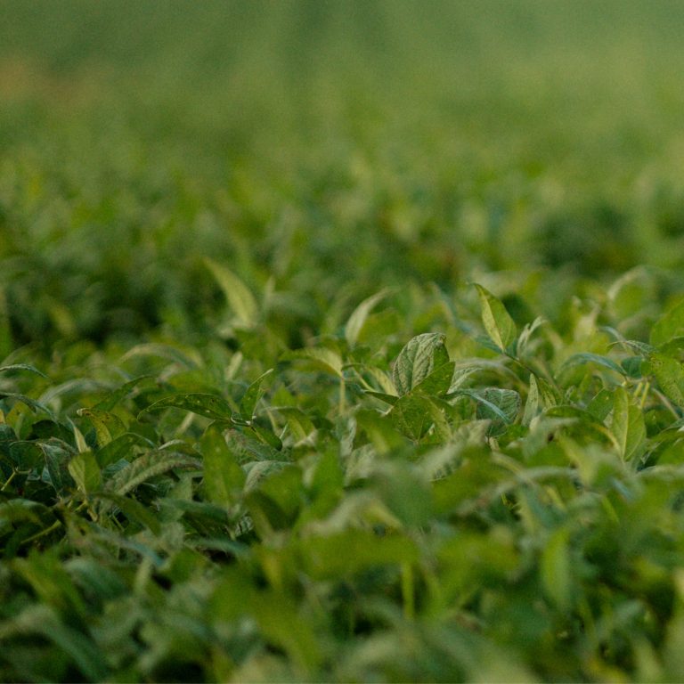 Inari Named One of TIME’s America’s Top GreenTech Companies 2026
