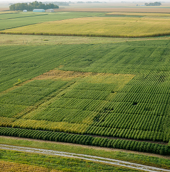 Unlocking the Possibilities in Seed to Transform the Global Food System