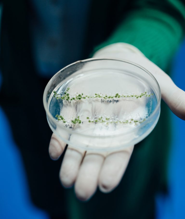 Four Perspectives on 10 Years of CRISPR
