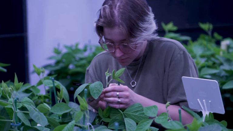 The Hill: This Thanksgiving highlights the need for agriculture innovation